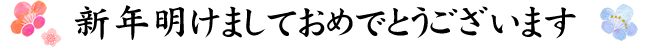 新年明けましておめでとうございます。
